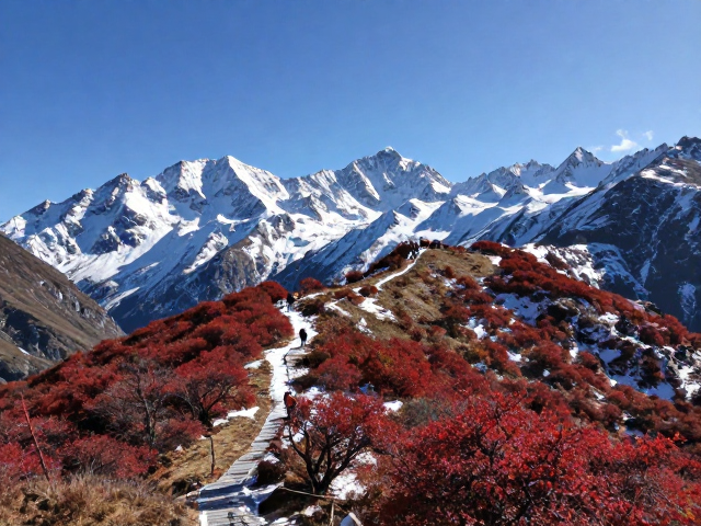 四姑娘山大峰与二峰:经典入门级雪山红叶线