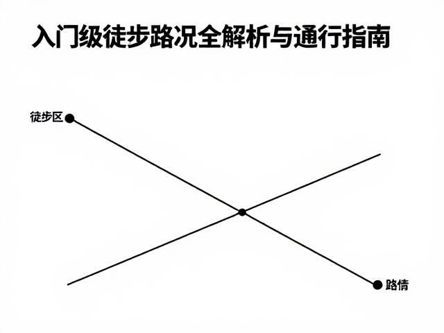 路面类型解析与行进技巧