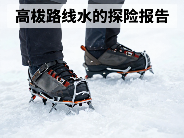 冰爪维护与极端环境下的性能保持