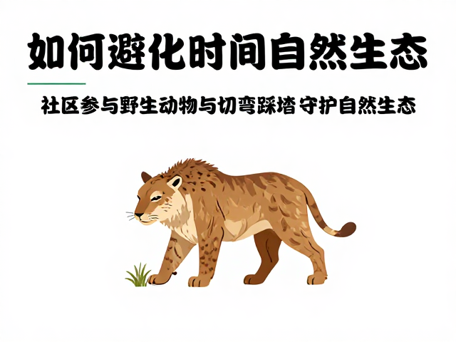 切弯踩踏：隐蔽的生态创伤与行为矫正