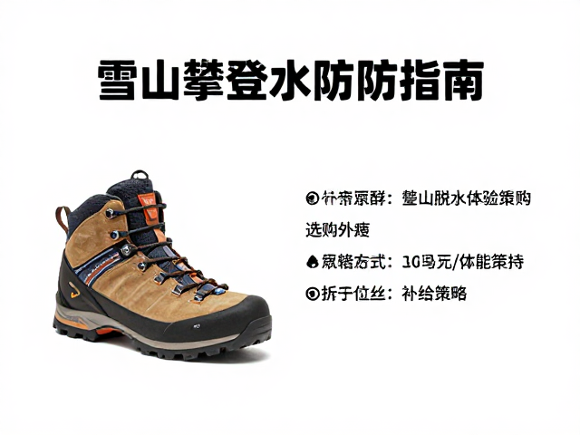 补给策略与体能维持