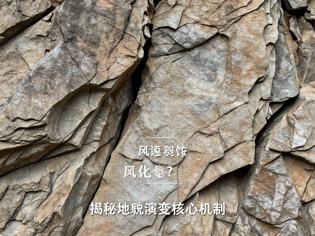 生物风化与裂隙扩展效应