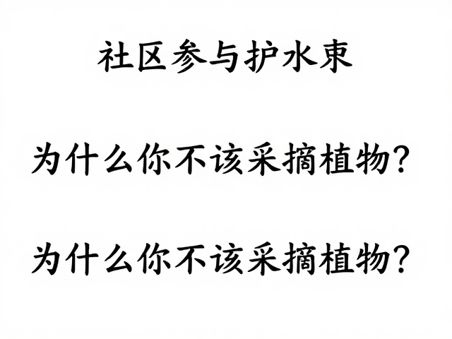 社区共治与可持续护源实践