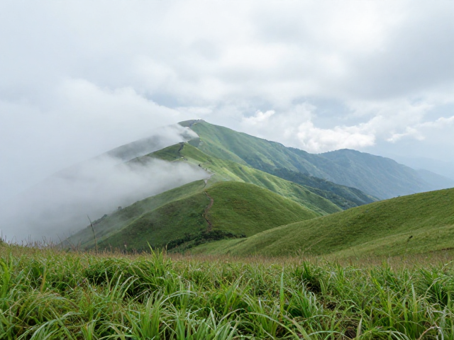 探秘世界自然遗产地,绝美高山草甸与生态保护之旅
