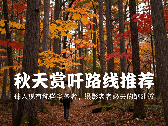 行前准备与装备建议
