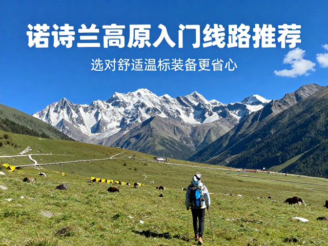 行程规划与动态调节