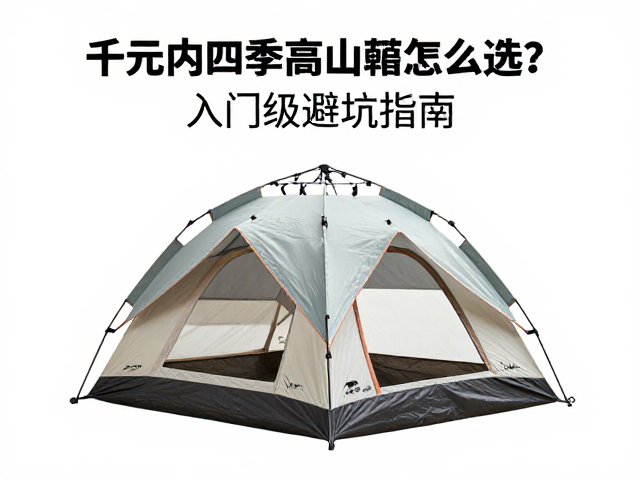 核心结构:骨架与支撑体系