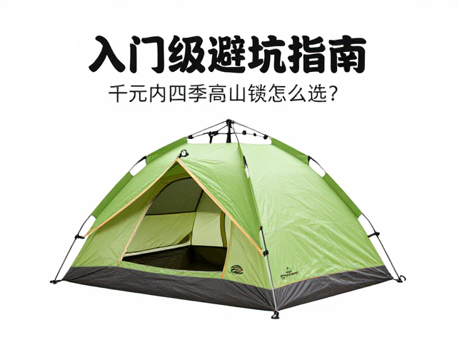 常见误区与避坑要点