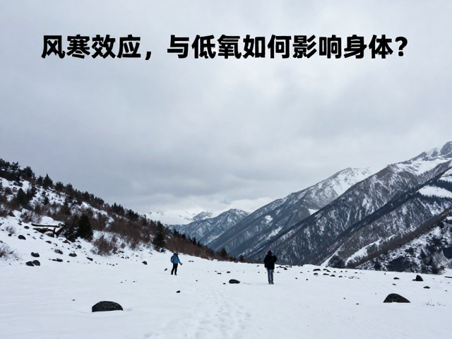 高海拔旅游必读,风寒效应与低氧如何影响身体?