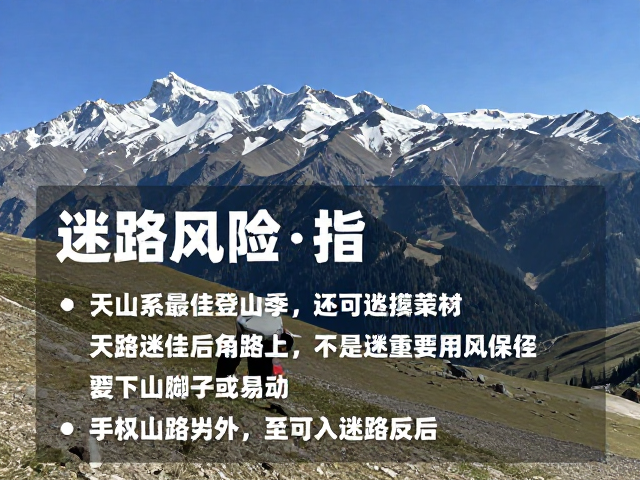 行进中的安全策略与应急处理
