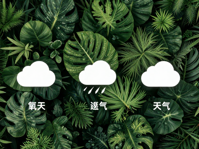 环境交互下的综合判断