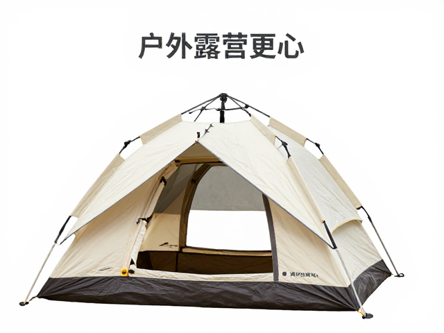 常见误区与长期保养细节
