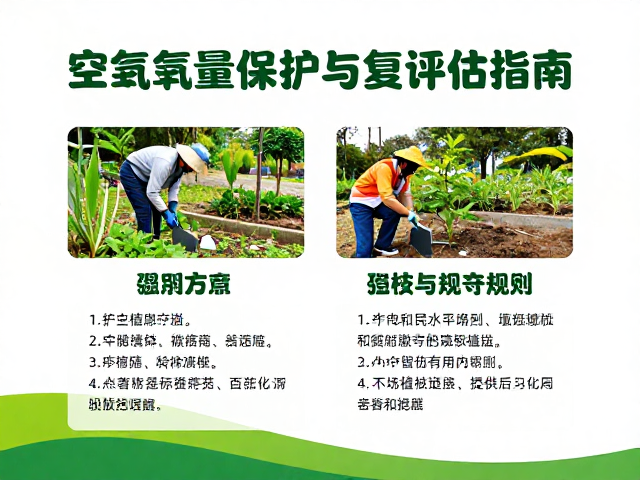 空气质量保护与植被守护,活动后环境恢复评估指南