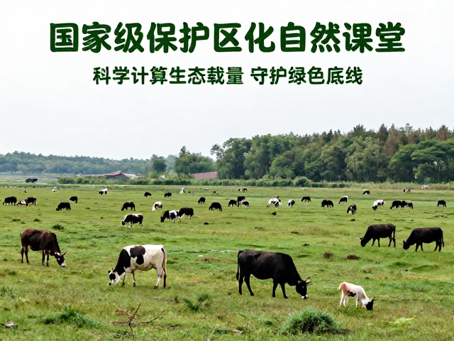 精准施策:动态调控与栖息地修复