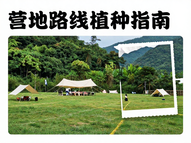 热门打卡地景观特征与拍摄建议