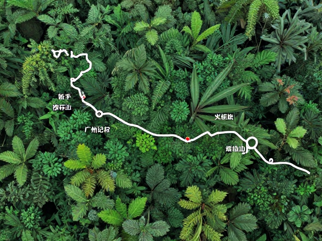 广州周边:火炉山森林公园徒步线