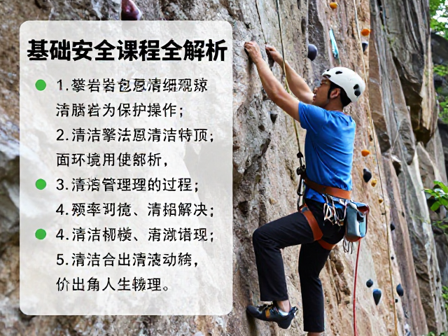 清洁频率与环境因素考量