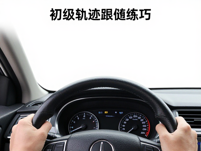 实操技巧:视线引导与方向盘控制细节