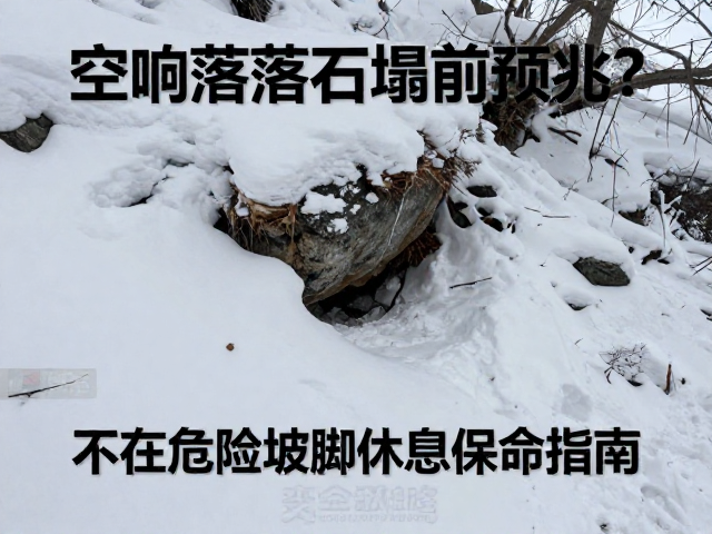 避险策略与安全行为准则