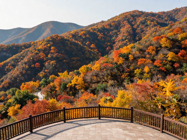 秋日观叶季，地质公园观景平台打卡指南，尽赏层林尽染
