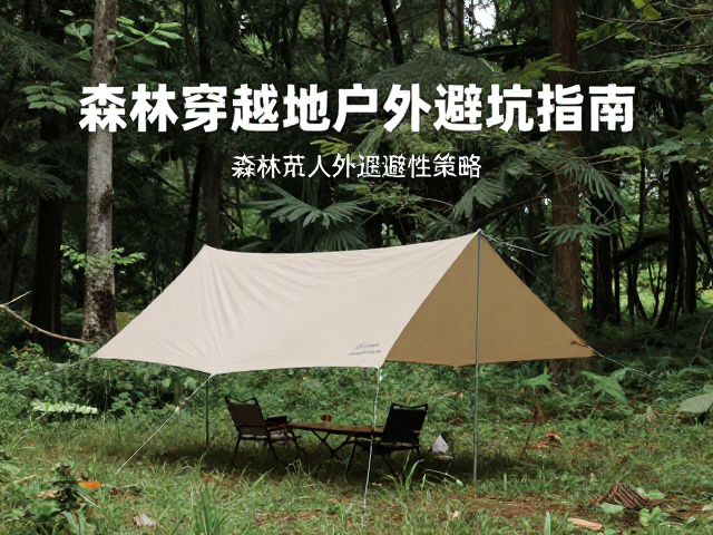 尺寸匹配与地形适应性策略