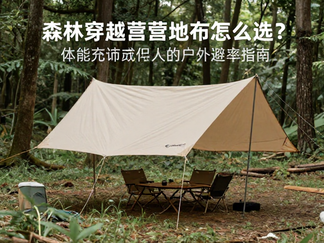 重量预算与收纳效率的平衡