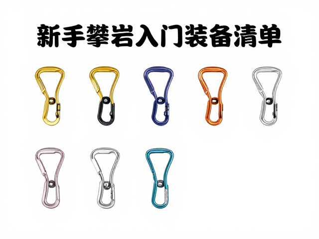 下降器类型与操作安全性分析