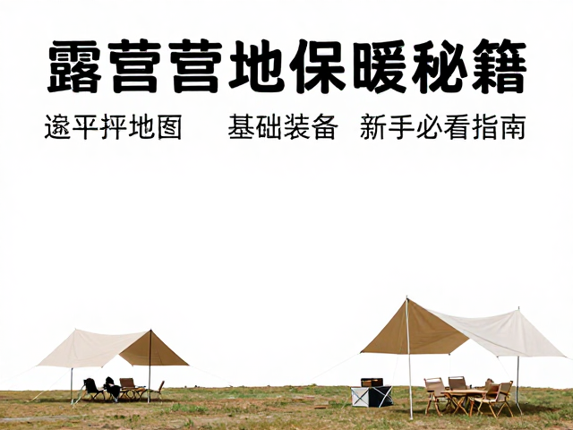 动态管理与应急应对:维持体温的策略