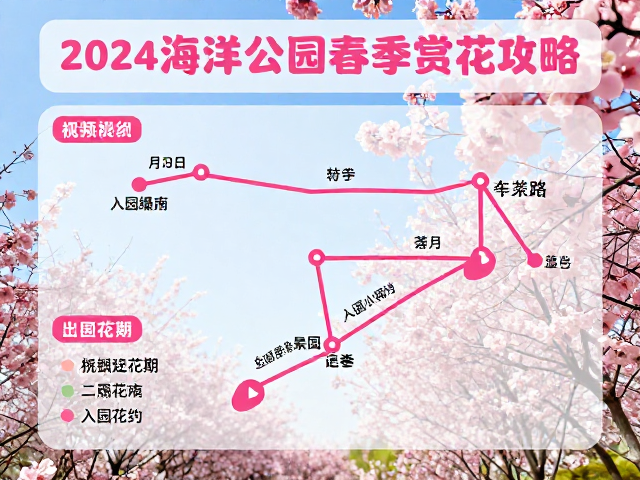 最佳花期与行程规划建议