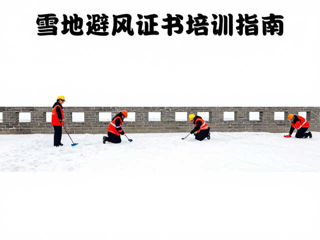 急救证书培训指南
