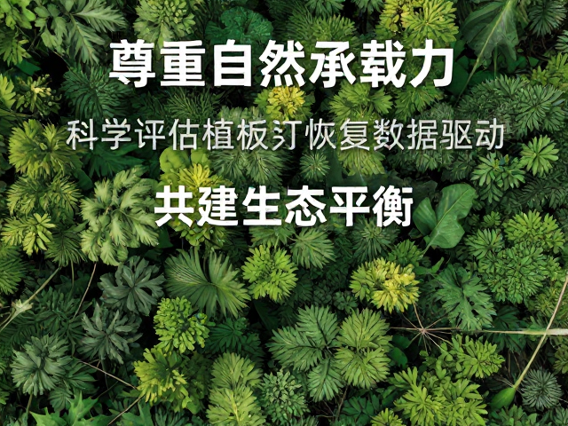 科学评估:从经验判断到数据驱动