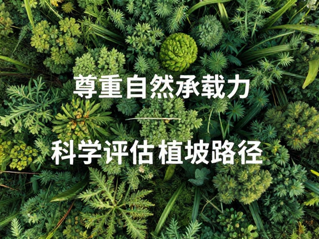 共建生态平衡:系统性治理的路径