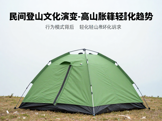 行为模式变迁:轻量化背后的生活方式与环保诉求