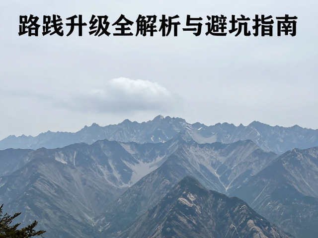 天气窗口与时间管理策略