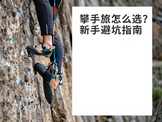新手避坑指南