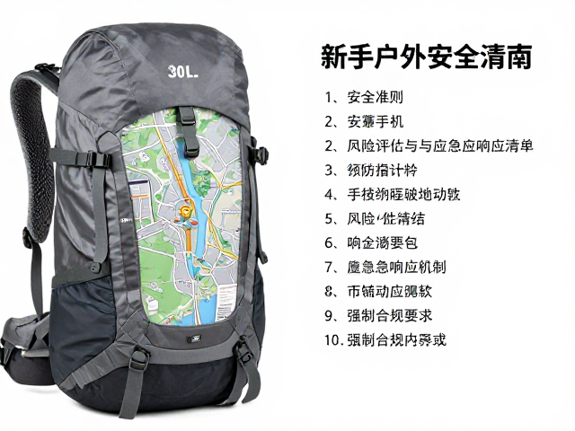 安全准则:风险评估与应急响应机制