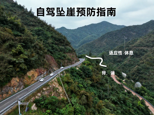 关键路段的驾驶技术与操作规范