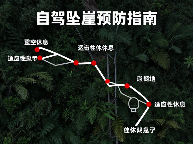 科学休息策略与驾驶员状态管理
