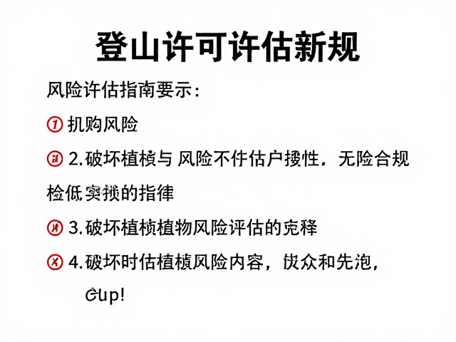 风险评估指南与实操建议