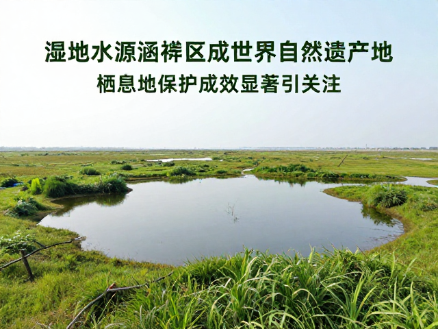 全球生态价值与未来保护趋势