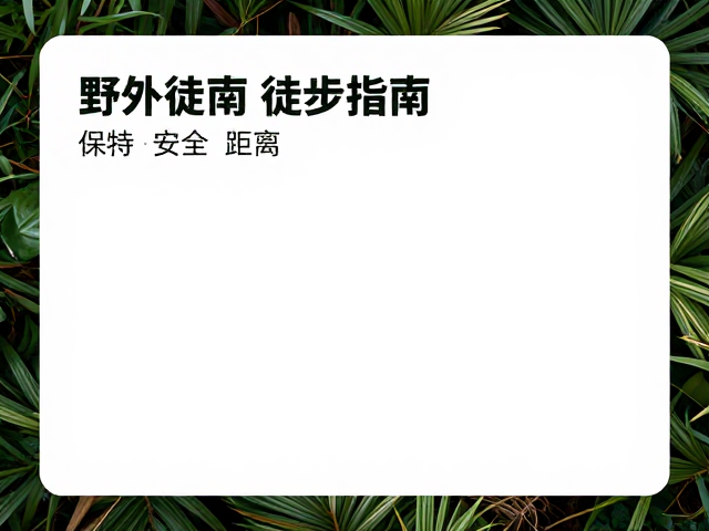 装备选择与行为规范的生态影响