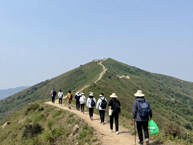 自然教育实践中的观察与互动