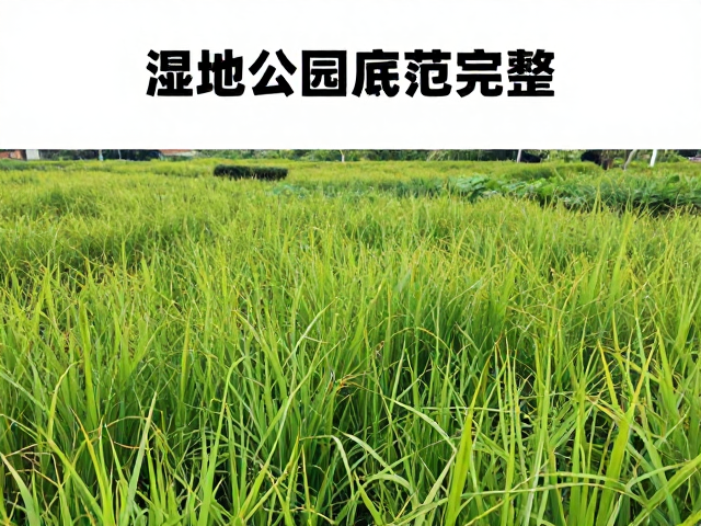 行前准备与实地行为规范
