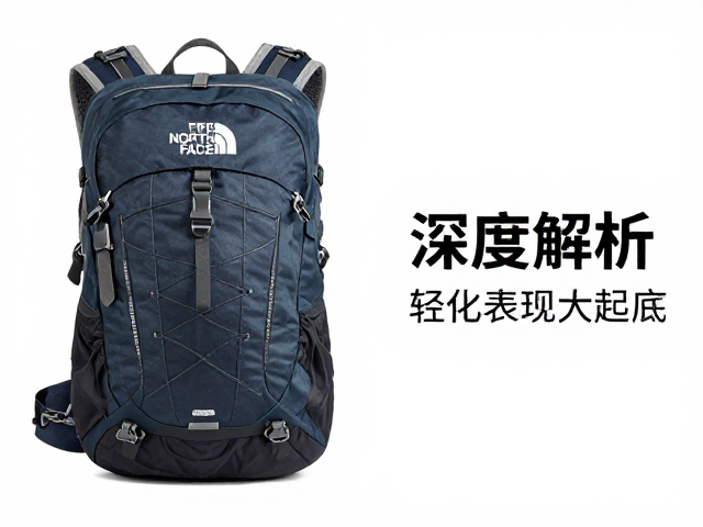背负系统的力学传递与舒适性边界