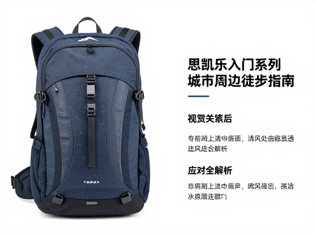 常见问题与应对策略
