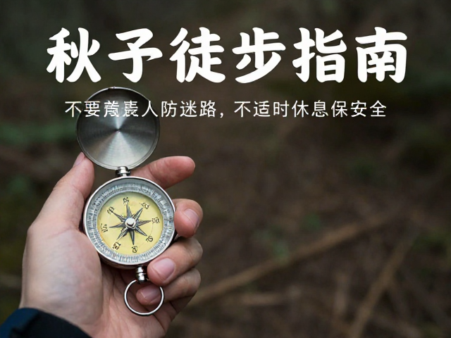 指南针的核心作用与基础操作