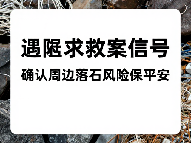 应急处置与等待救援