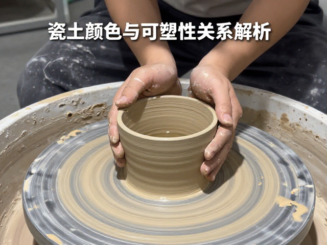 烧成温度下结构演变与力学性能的耦合机制