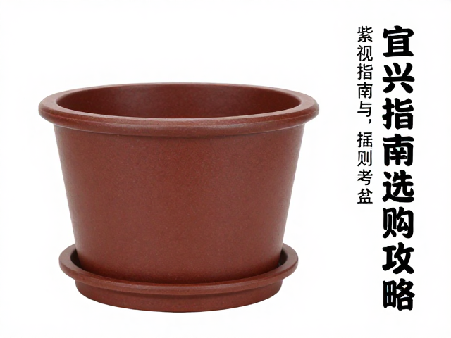 选购策略与实用性考量