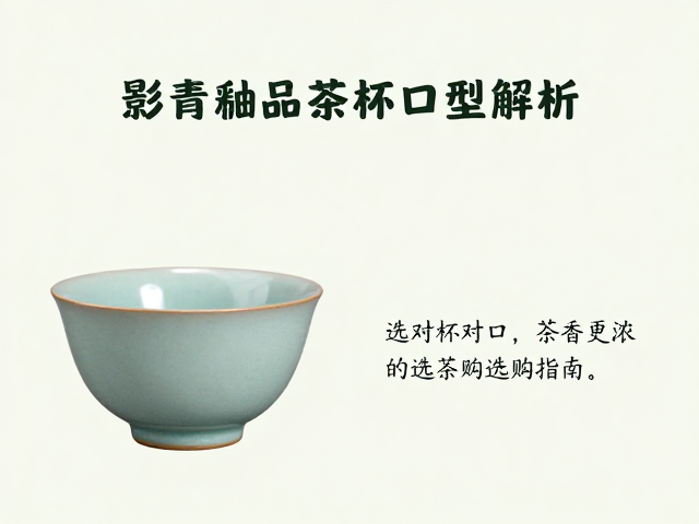 选购指南与日常养护建议